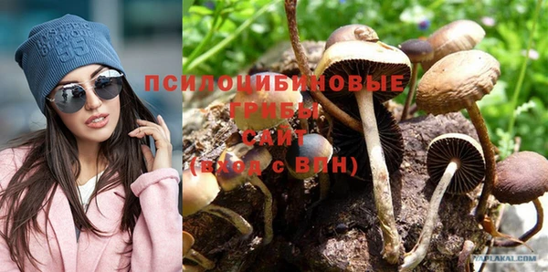 гашик Ростов