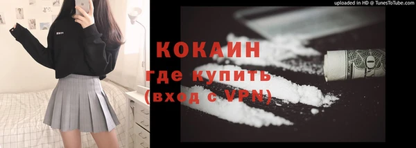 сатива Россошь