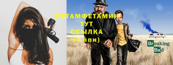 сатива Россошь
