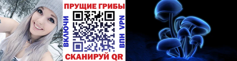 закладки  Киренск  Псилоцибиновые грибы мухоморы 