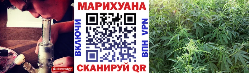 Бошки марихуана тримм  кракен ССЫЛКА  Киренск 